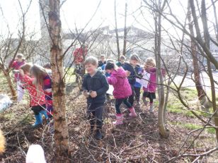 P1 Morrison Dinosaur Hunt